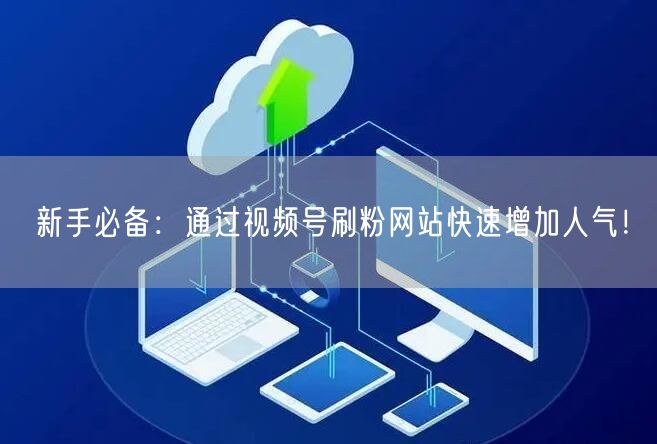 新手必备：通过视频号刷粉网站快速增加人气！