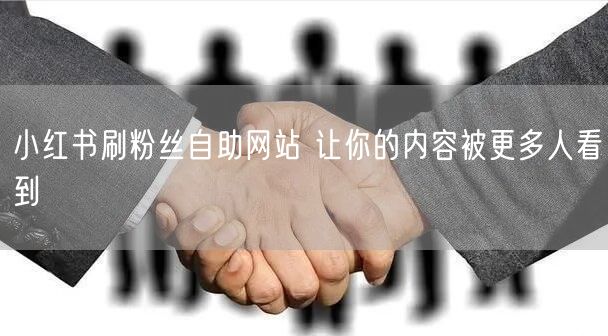 小红书刷粉丝自助网站 让你的内容被更多人看到