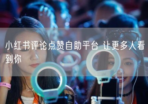 小红书评论点赞自助平台 让更多人看到你