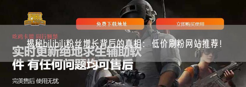揭秘bilibili粉丝增长背后的真相：低价刷粉网站推荐！