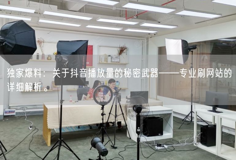 独家爆料：关于抖音播放量的秘密武器——专业刷网站的详细解析。